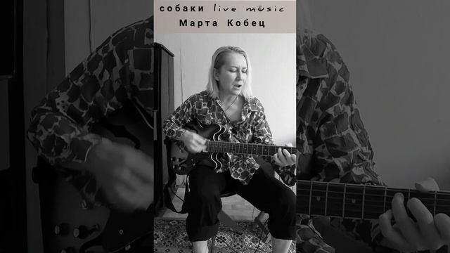 Пою свои песни/ live music 2025 /Марта Кобец /Собаки