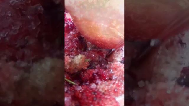 One minute cooking | Enjoy beautiful nature with rural life|black mulberry juice | #asmr | #shorts