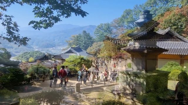 선묘가 사랑한 의상 | 천년의 여행 영주 부석사 | 유네스코 세계문화유산 | 한국의 아름다운 절 #영주부석사 #부석사 #경북여행 #천년사찰 #의상대사 #영주가볼만한곳 #세계문화유