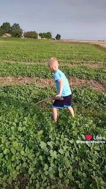 каникулы  в Шотовке