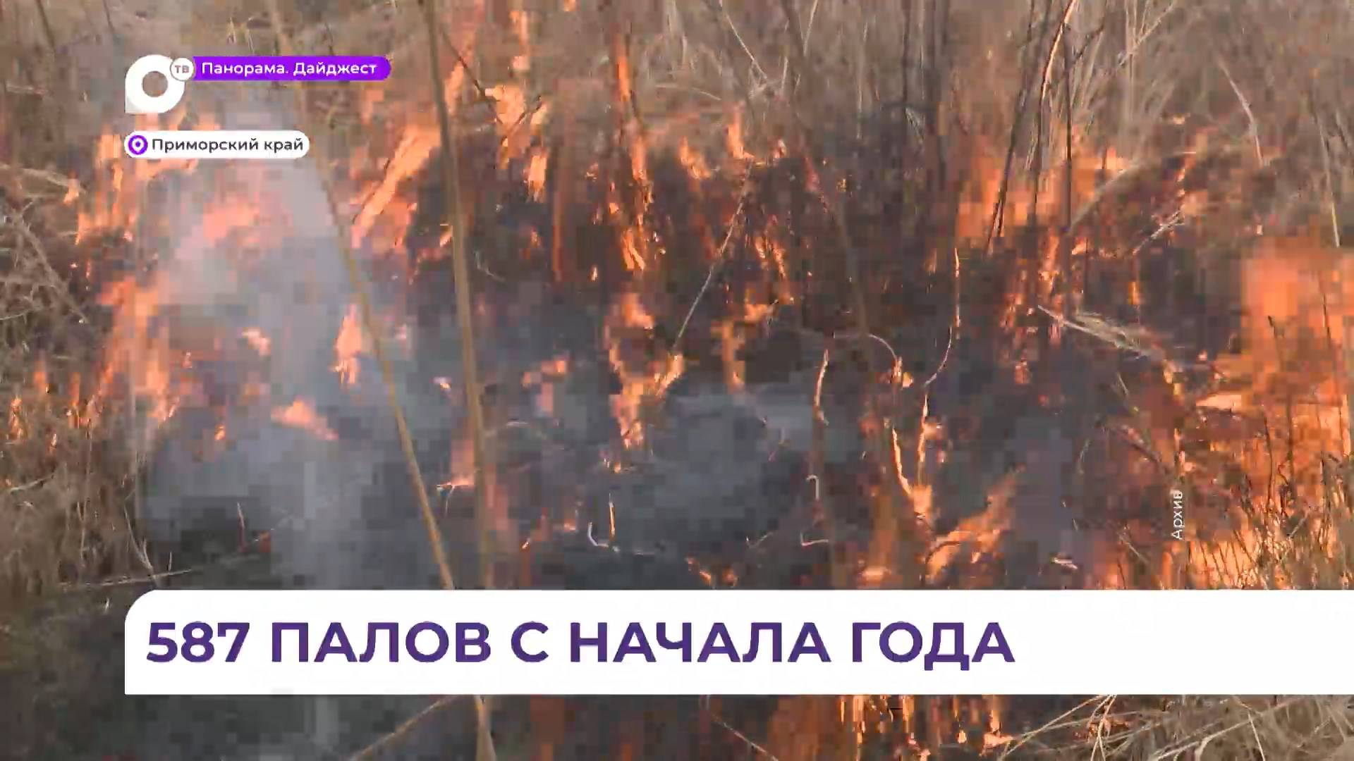 В Приморье осложняется пожарная обстановка