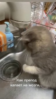 Так кто виноват