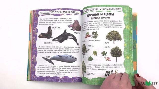 Книга Большая энциклопедия для дошкольников, малышей детского сада, развивающая, познавательная