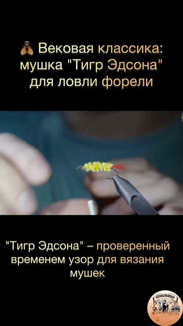 🪰Вековая классика: мушка "Тигр Эдсона" для ловли форели🎣