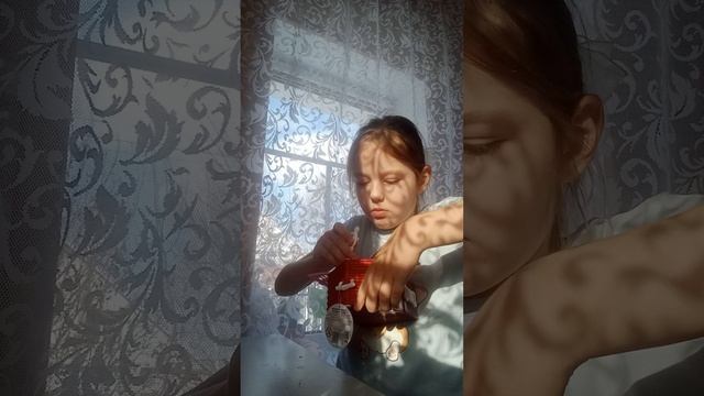 обзор игрушечного домика кошки