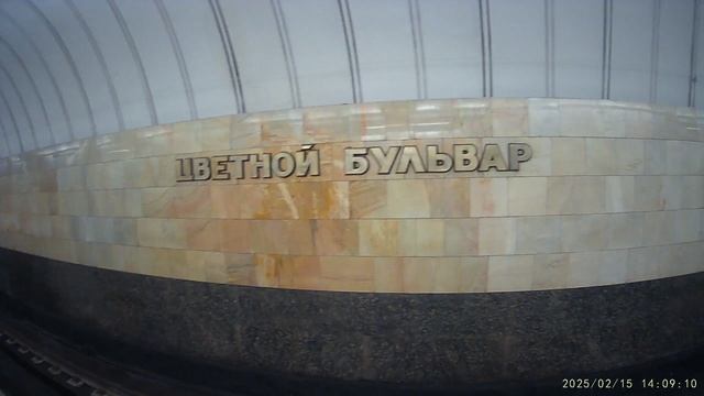 Первая лыжная прогулка за зиму.