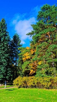 #парк #крестовскийостров #петербург #питер #спб #санктпетербург #красота #путешествие #осень