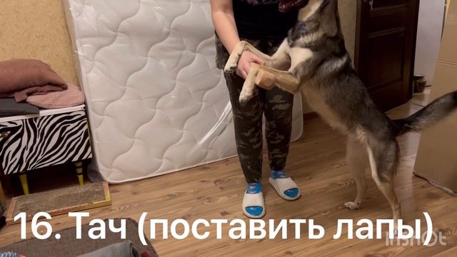 Команды Табаки (часть 1)
