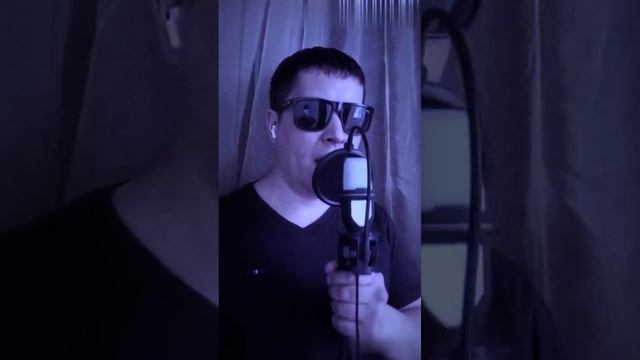 Это мой бой - Денис Майданов ( Cover В.Я.П.)