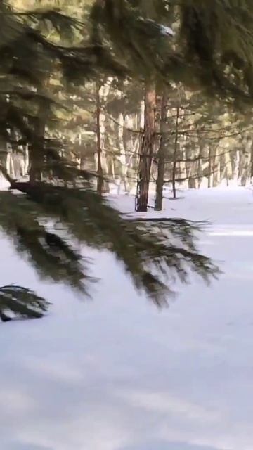 Поехали искать весну!