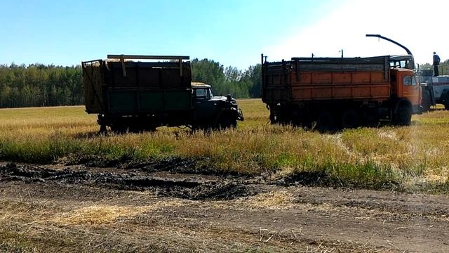 Не много застряли