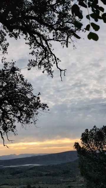 Buenos días 17-02-2025