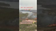 🔥ВОТ ТАК ЗАЖИГАЮТ В ЛЕСУ... Если вдруг кто не знал...🔥