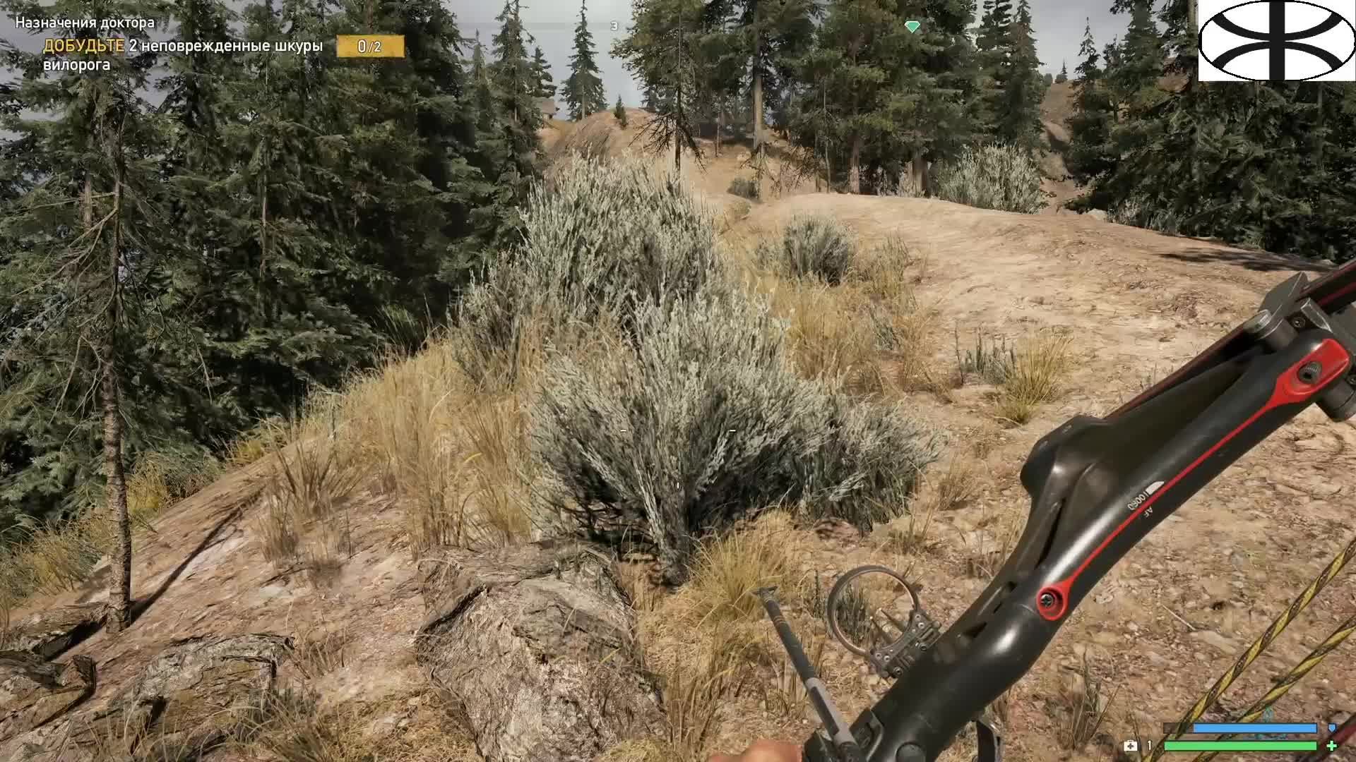Far Cry 5 (9)