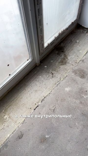 Сколько стоит «евродвушка» в премиальном доме «Петропавловский»?