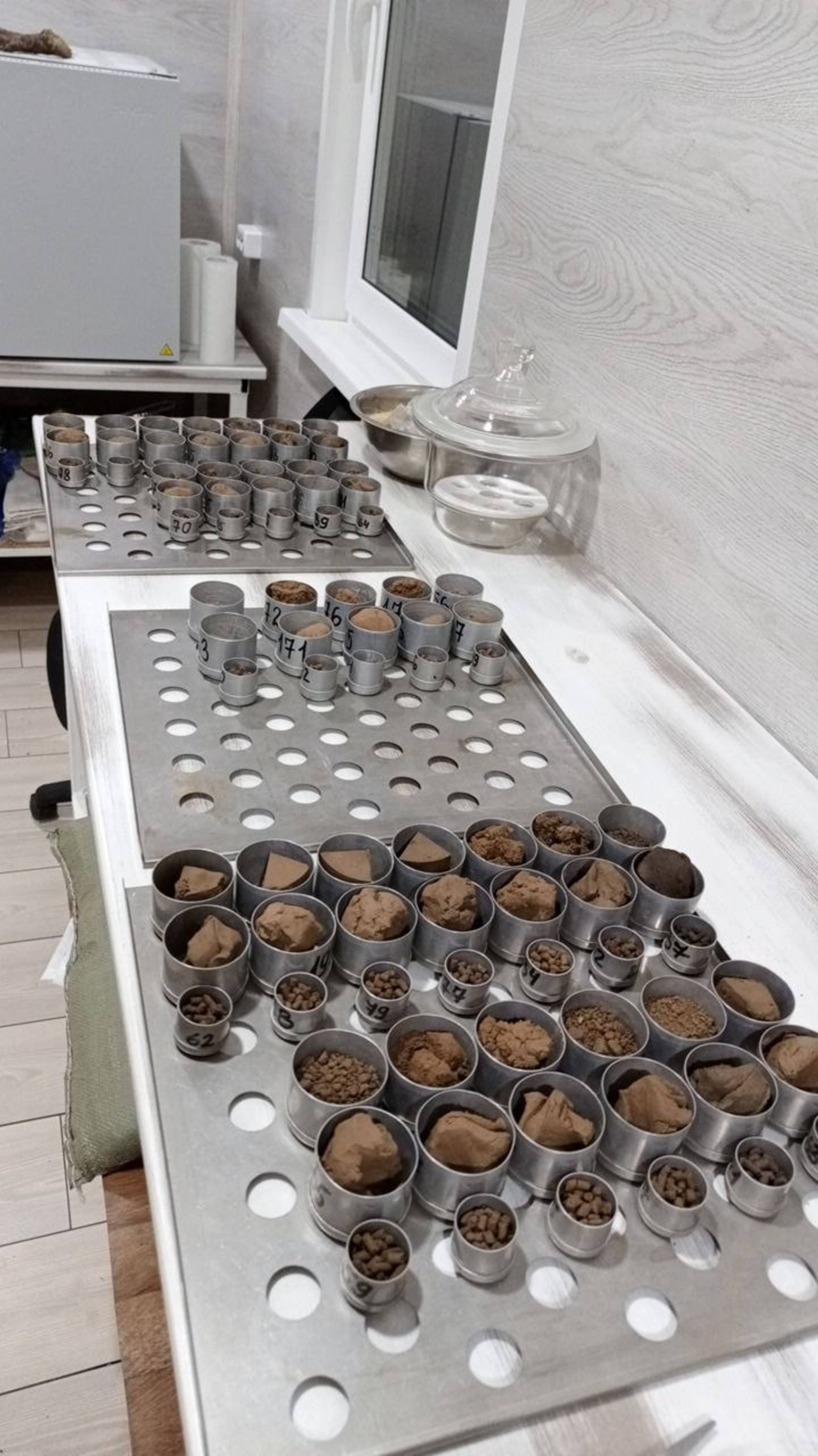🔎 Определяем содержание органических веществ в пробе грута под строительство
