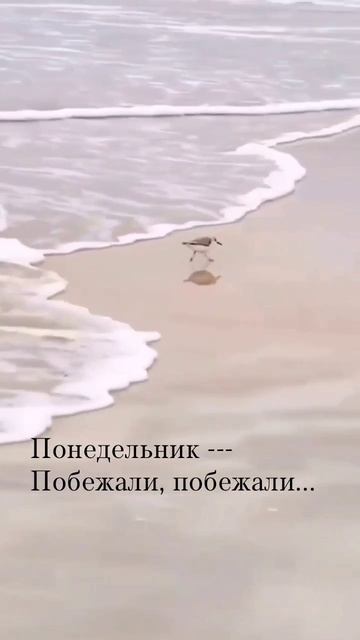 начинаем неделю #понедельник