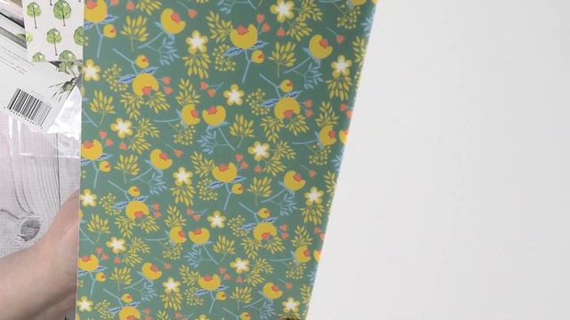 Websters Pages Haul Journal Planner Travelrs Notebook Photo Album & More