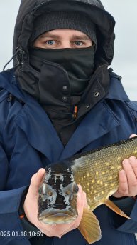 Щука жадно разматывает леску. Поклёвка щуки на жерлицу. #щука #рыбалка #рыба #топ #1 #рекомендации