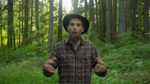 Fir Tip - Forest Medicine