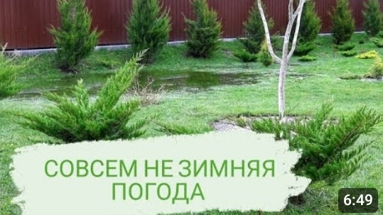 СОВСЕМ НЕ ЗИМНЯЯ ПОГОДА... 27.12.2023г. БЕЛАРУСЬ, ГОМЕЛЬСКАЯ ОБЛАСТЬ