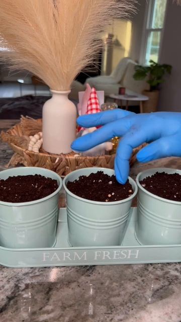 DIY indoor herb garden 🌿💓#diyideas#herbgarden#boujeeonabudget#lifehacks#moneysavingtips#herbs