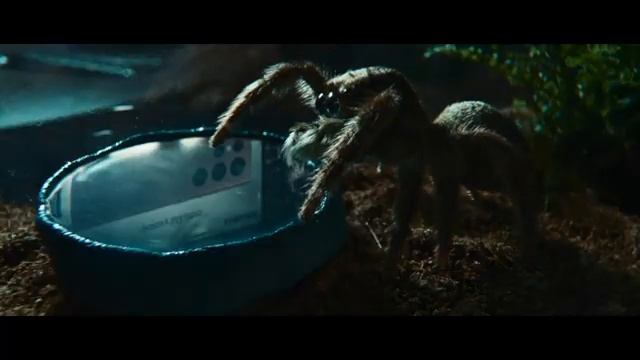 Samsung『the Spider and the Window』