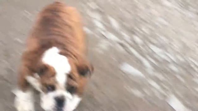 5 сентября 2016 г.