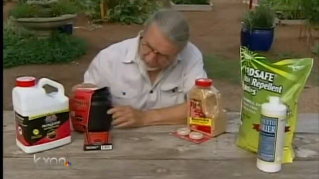 Weekend Gardener: Mosquitoes