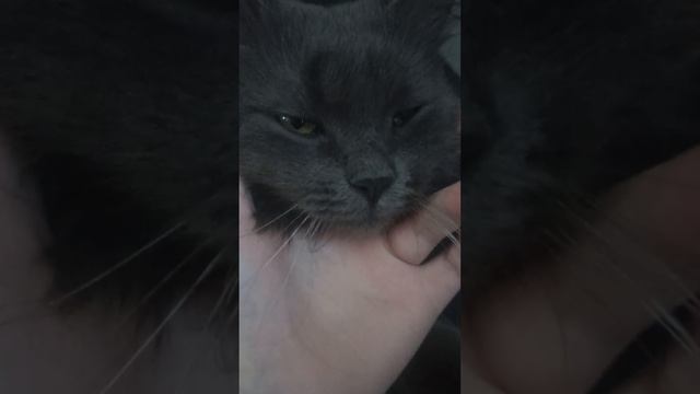 жизнь