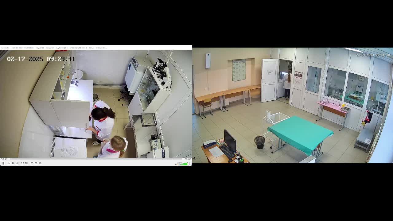 Тест_Чемпионат_170225_Вет