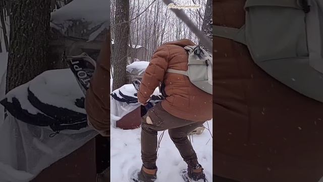 Кормлю собачек в гаражах