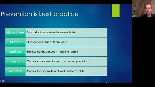 RHD: Changing the Landscape of Domestic Rabbits in the USA. By Jay Hreiz VMD