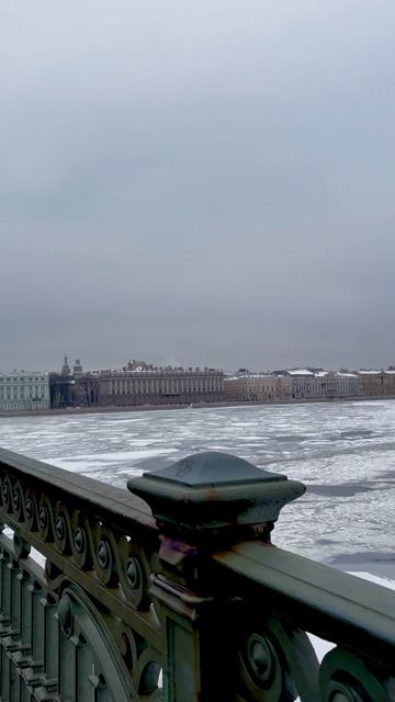 Замерзшая Нева в Санкт-Петербурге, Биржевой мост