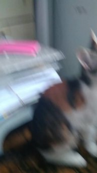 подарок на 23 февраля