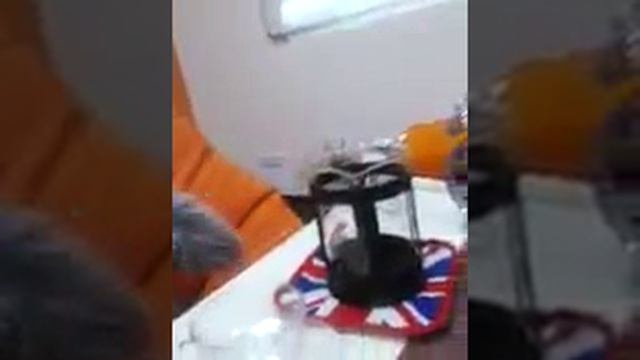Английский центр "Essence Connections"