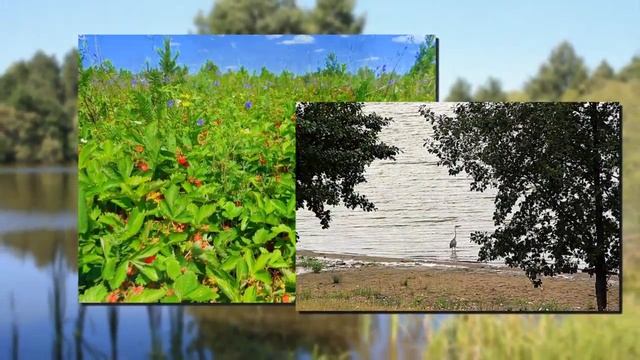 Моя малая Родина - Бондари