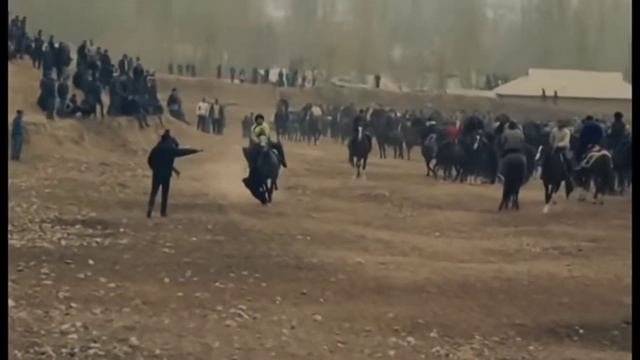 Шер пахлавон бузкаши амондара АСП бо Номи Тайсон