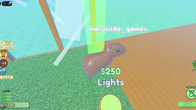 Строю дом для милых капибар.