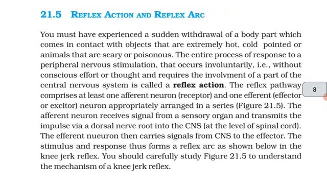 Neural control and coordination class 11 ncert reading