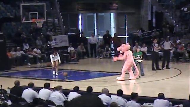 Pink Panther vs. Big Horns (Bruno)
