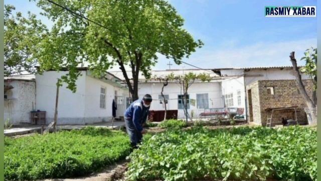 ПЕНСИЯГА ИШ СТАЖИ ЭНДИ 300 МИНГ СУМ БУЛДИ