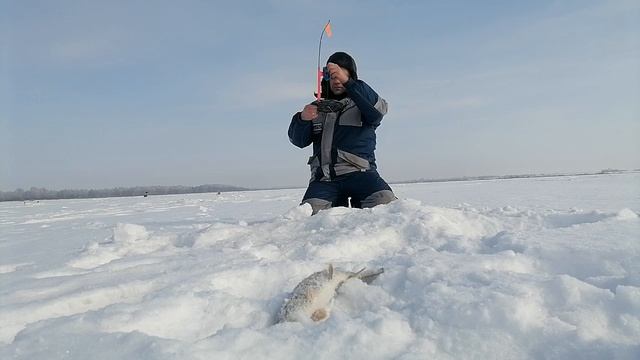 Щука на жерлицы. Рыбалка в глухозимье.