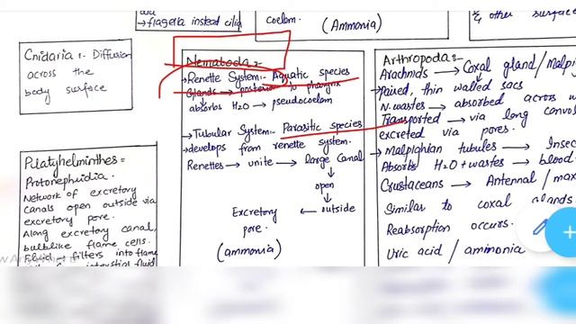 Excretory system in invertebrates | Comparison | protozoa to echinodermata