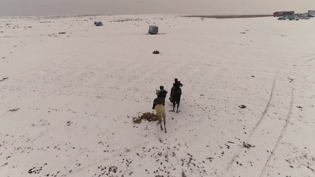 Көкпарды Тартып кетті