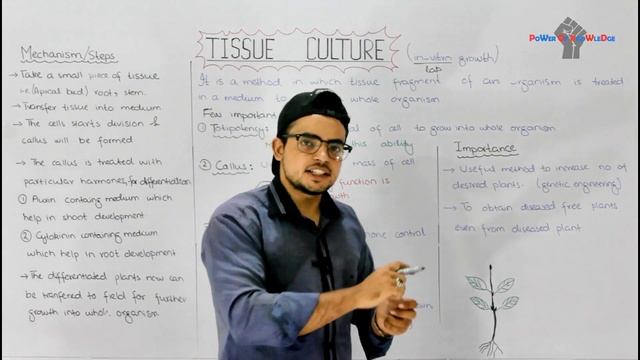 Tissue culture (in vitro Growth) | Basic technique of Biology | Video 20