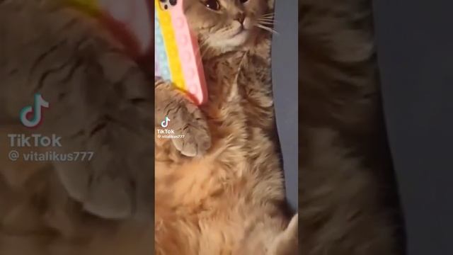 Сборник приколов