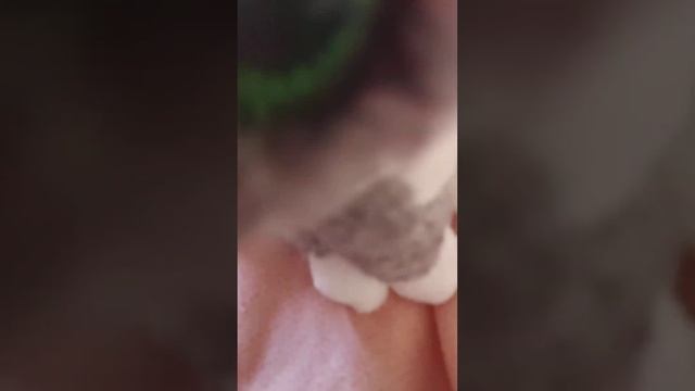~школа котов!😺(учасники:кошка мята учиница,Кот роля ученик,кошка пушинка учительница~