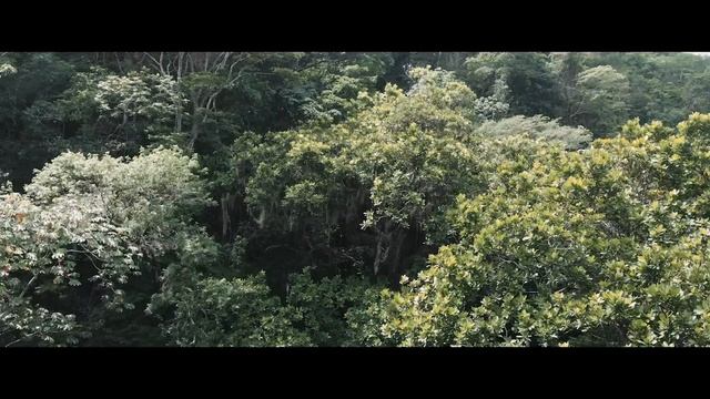 Tu Eres La Única - Fabián Corrales (Video Concepto)