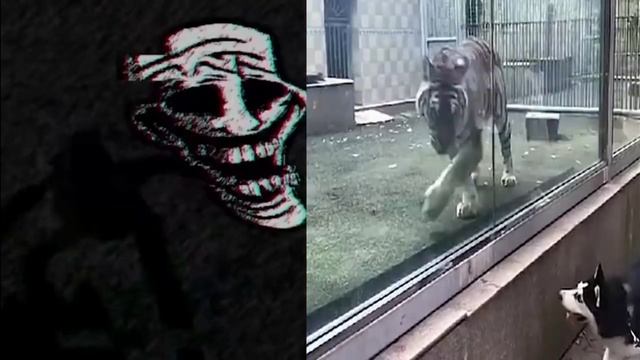 видео не моё